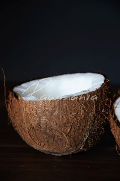 kokosove mleko nove1