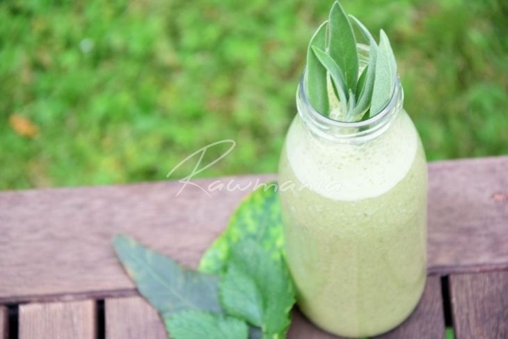 Zelené smoothie se šalvějí